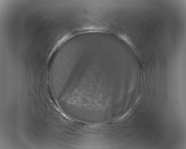 X0000080191357200701051712