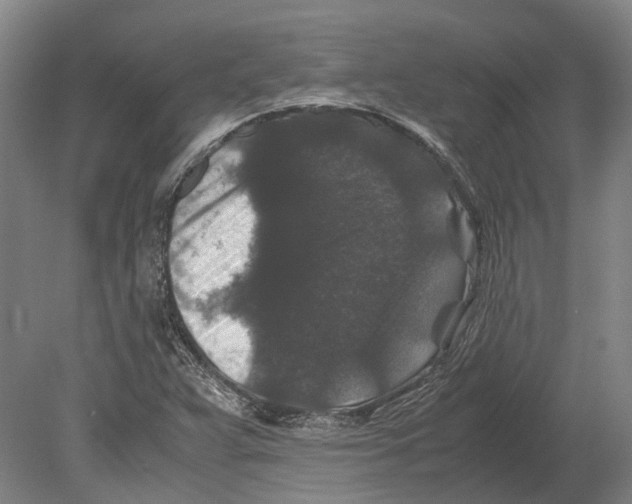 X0000080191359200701051712
