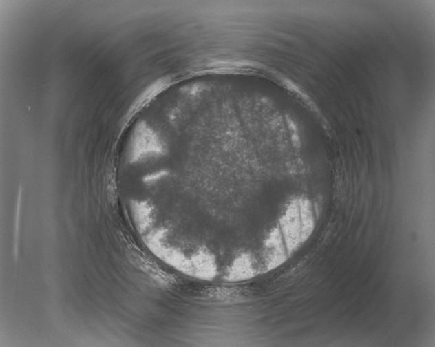 X0000080191362200701051712