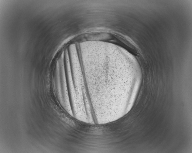 X0000080191364200701051712