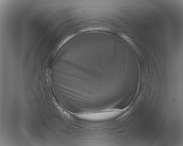 X0000080191369200701051712