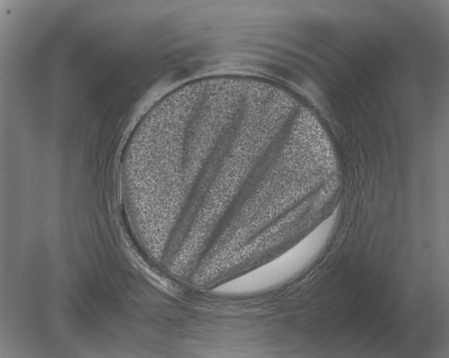 X0000080191371200701051712
