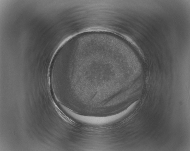X0000080191372200701051712