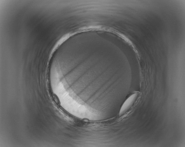 X0000080191373200701051712