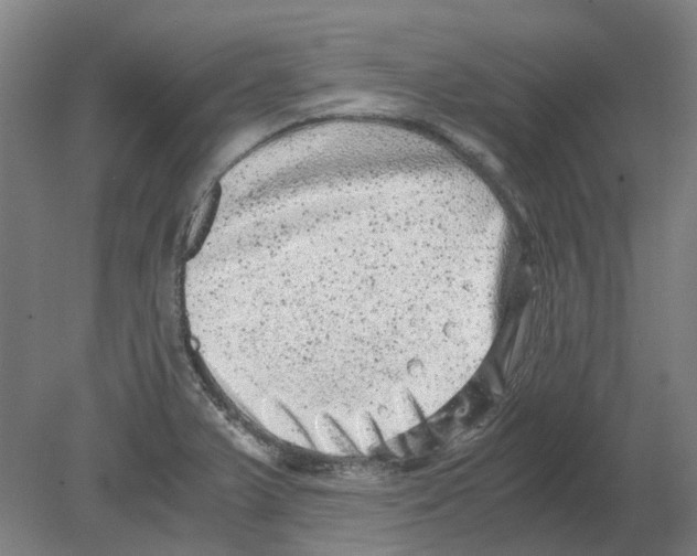 X0000080191375200701051712