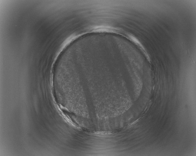 X0000080191376200701051712