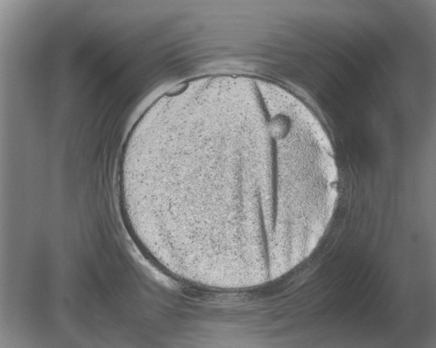 X0000080191387200701051712