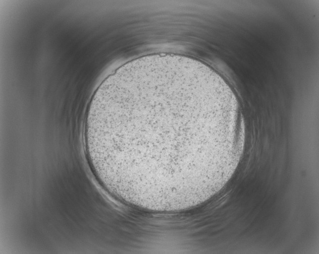 X0000080191391200701051711
