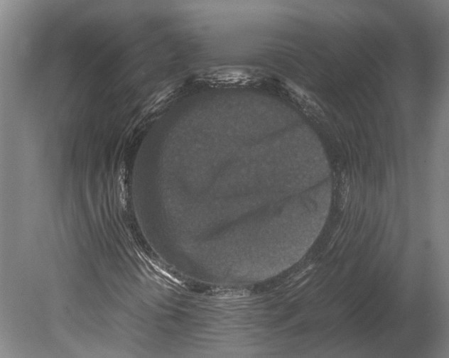 X0000080191394200701051711