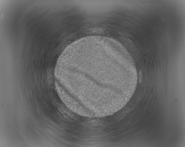 X0000080191395200701051711