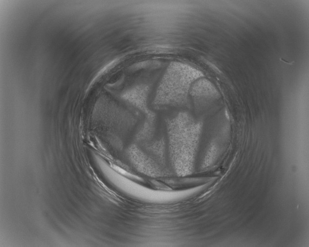 X0000080191402200701051711