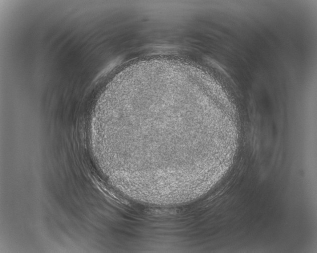 X0000080191403200701051711