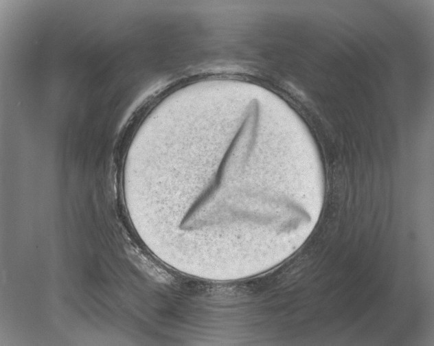 X0000080191408200701051711
