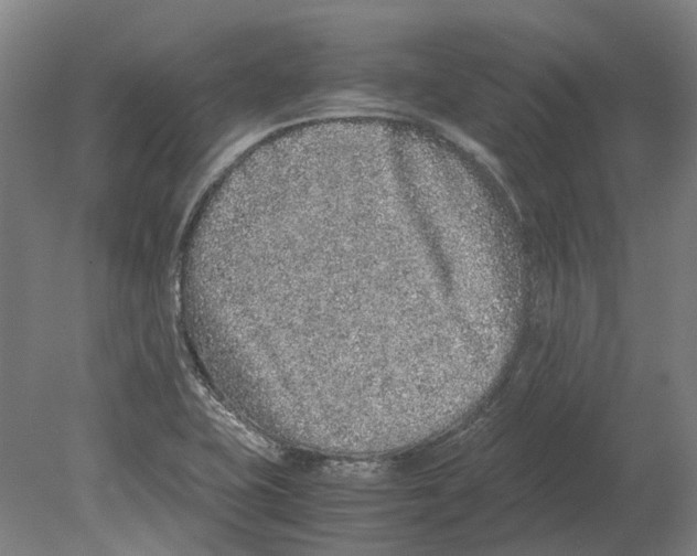 X0000080191415200701051711