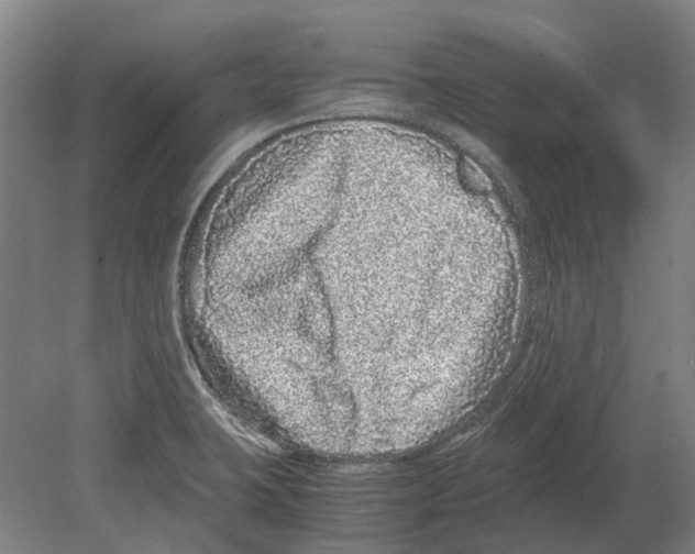 X0000080191423200701051711