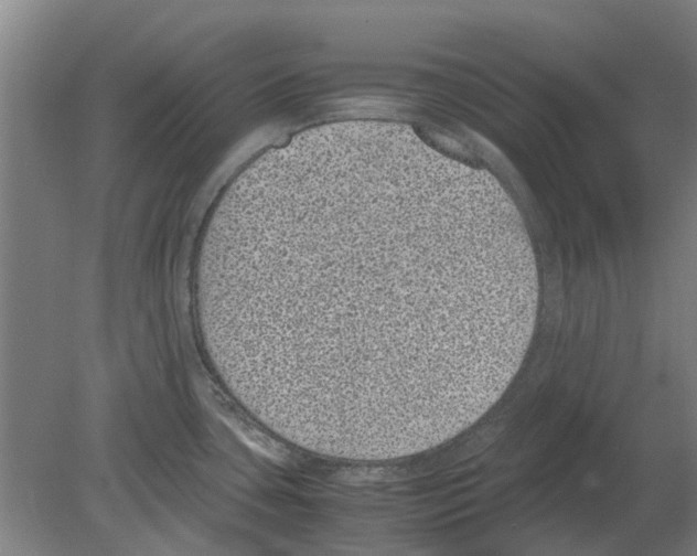 X0000080191435200701051711