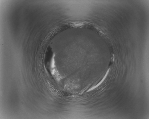 X0000080191441200701051711