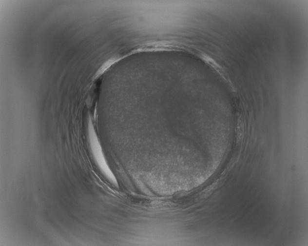 X0000080191449200701051710