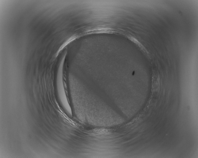 X0000080191450200701051710