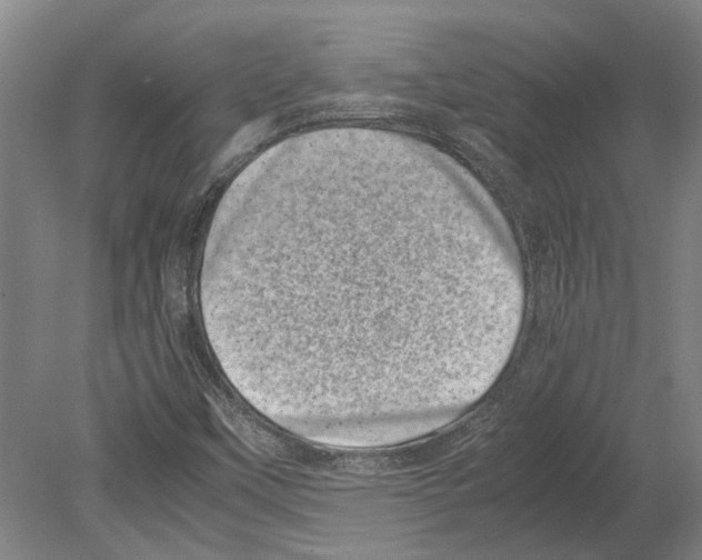 X0000080191451200701051710