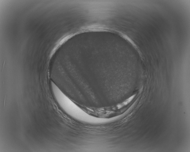 X0000080191461200701051710