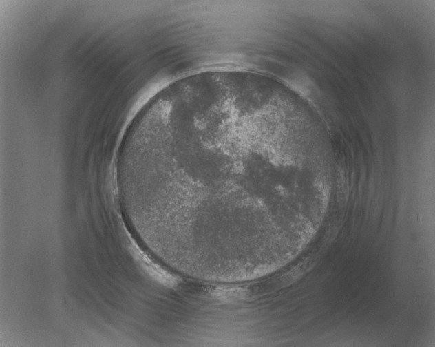 X0000080191466200701051710