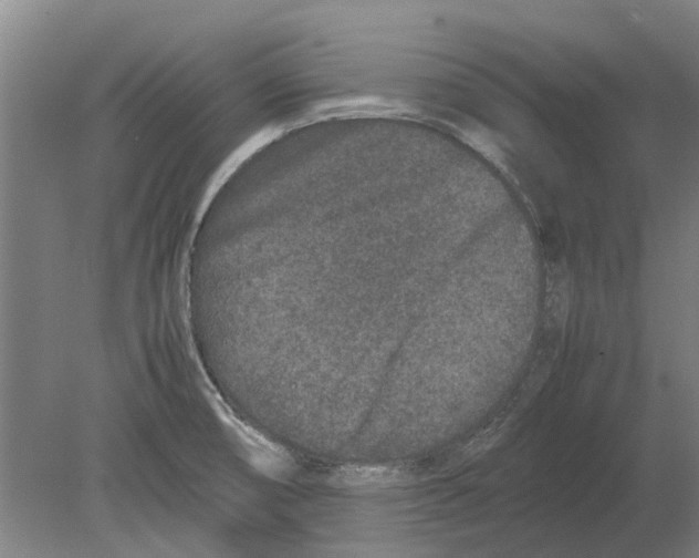 X0000080191474200701051710