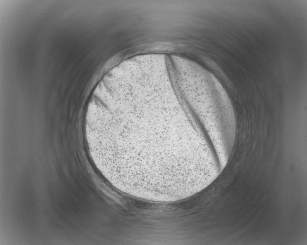 X0000080191475200701051710