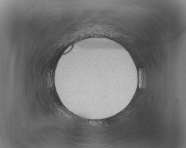 X0000080191491200701051709