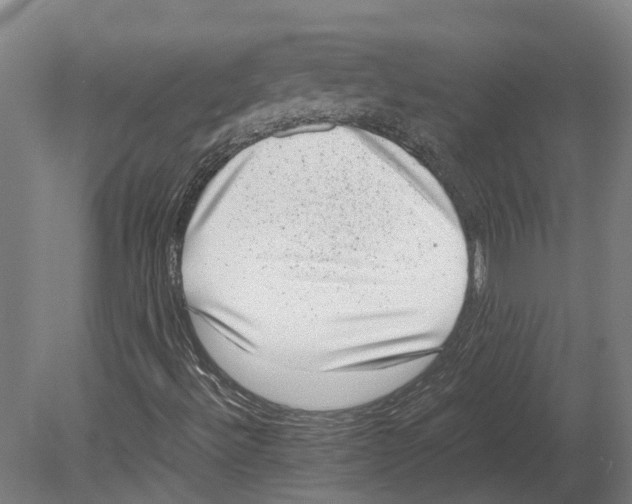 X0000080191492200701051709