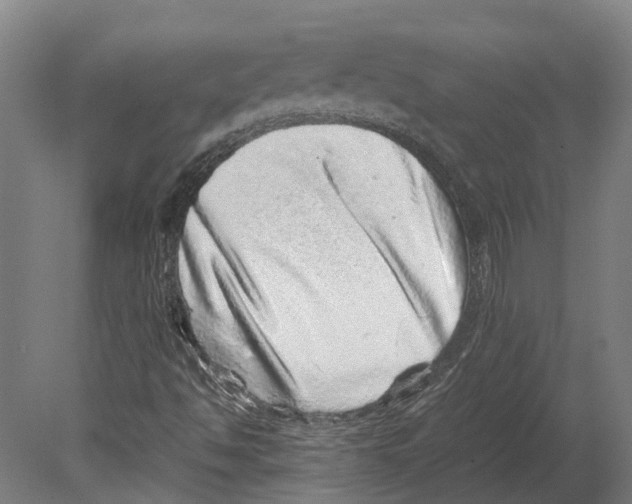 X0000080191494200701051709