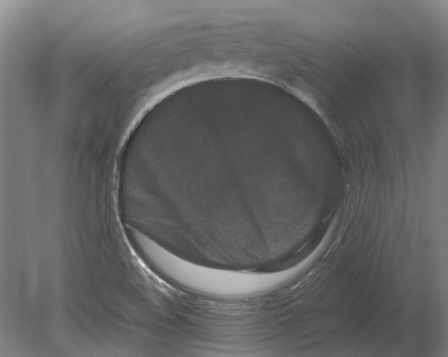 X0000080191508200701051709