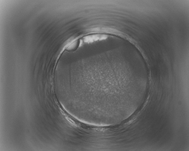 X0000080191529200701051710
