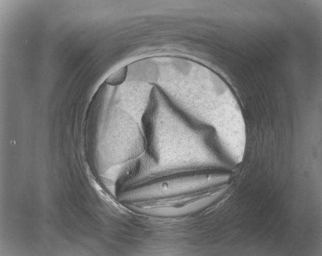 X0000080191534200701051710