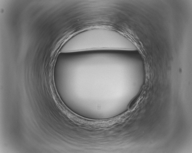 X0000080200001200612081146