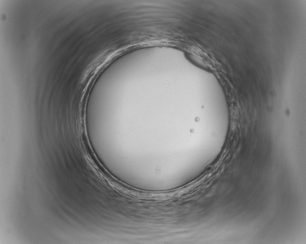 X0000080200002200612081146