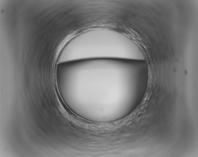 X0000080200003200612081146