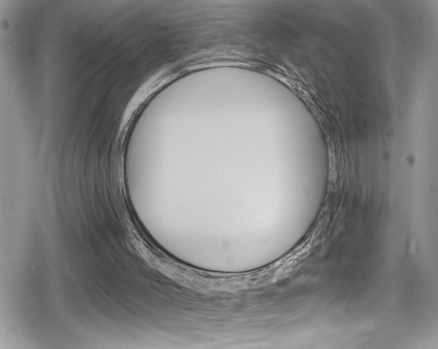 X0000080200004200612081145