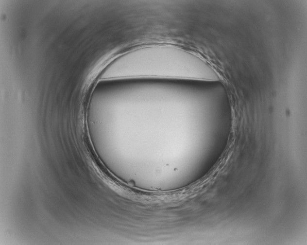 X0000080200005200612081145