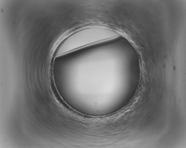 X0000080200007200612081145