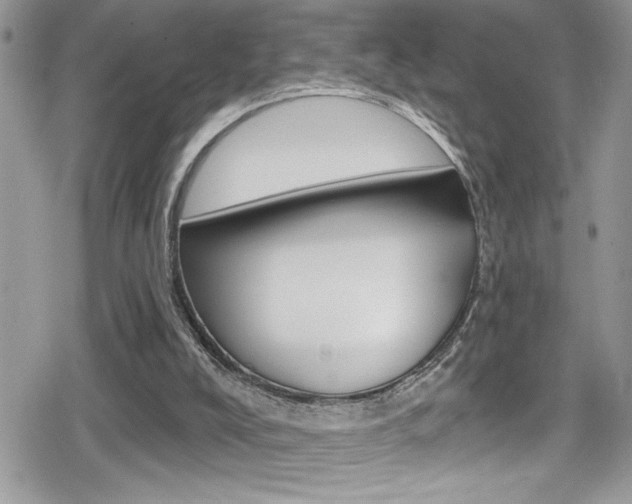 X0000080200008200612081145