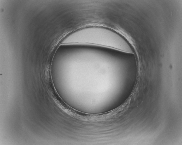 X0000080200009200612081145