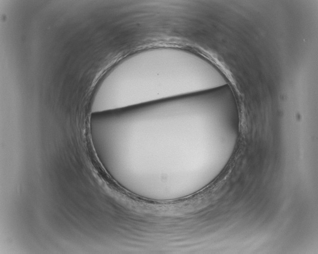 X0000080200010200612081145