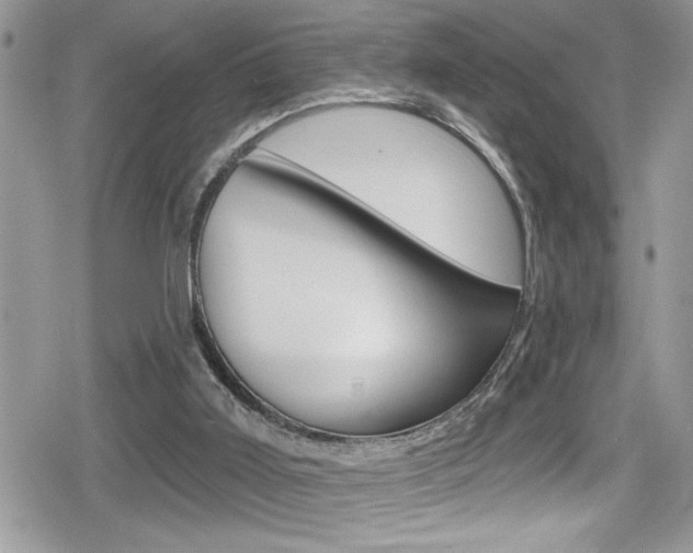 X0000080200011200612081145