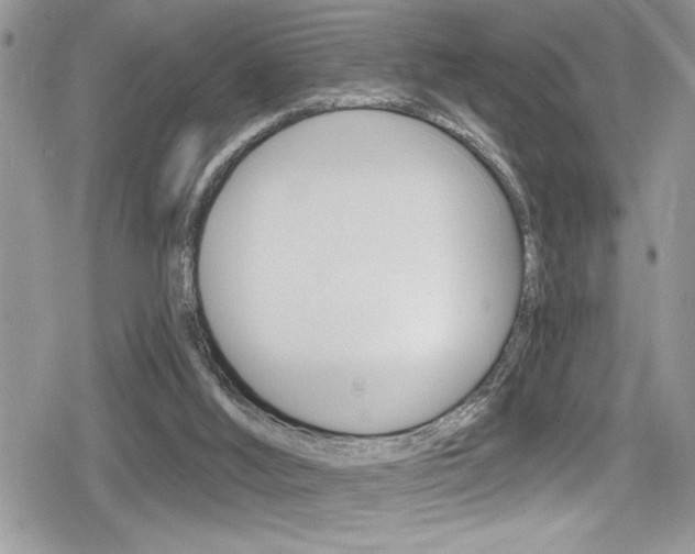 X0000080200012200612081145