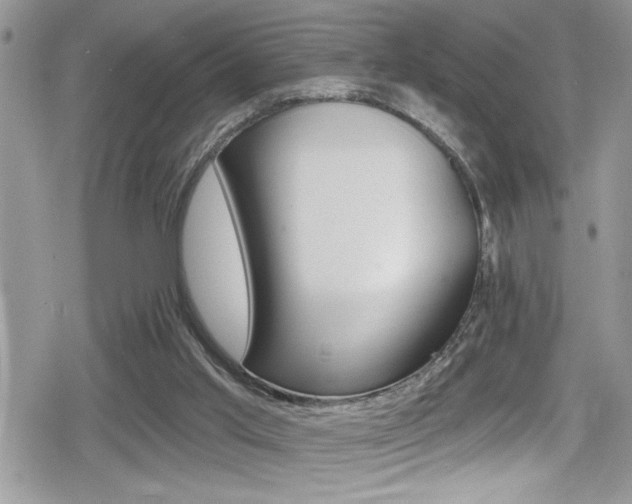 X0000080200013200612081145