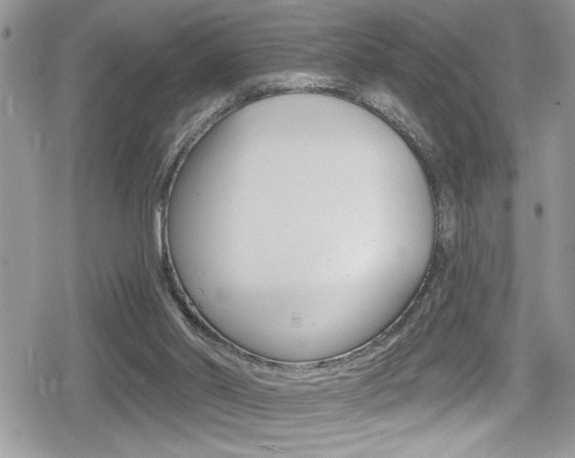 X0000080200014200612081145