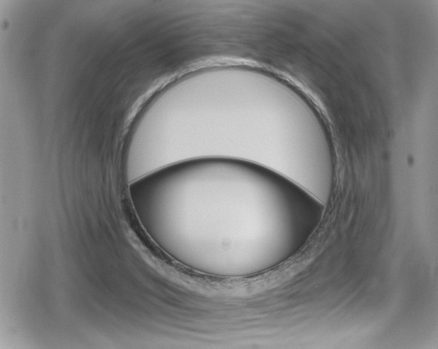 X0000080200015200612081145