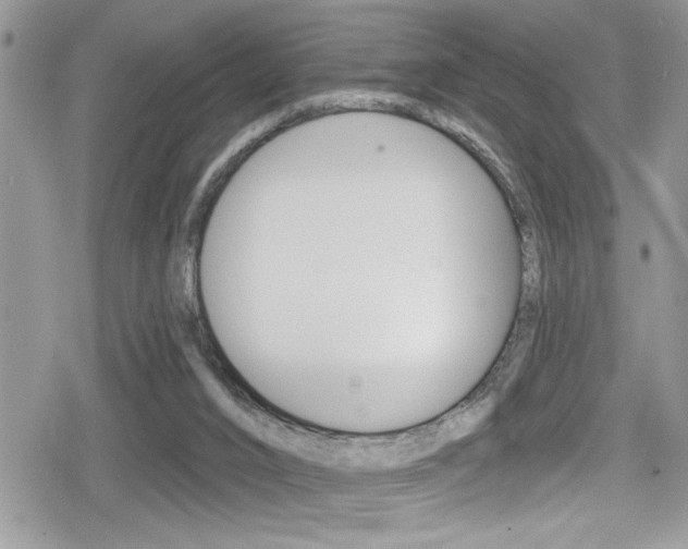 X0000080200016200612081145