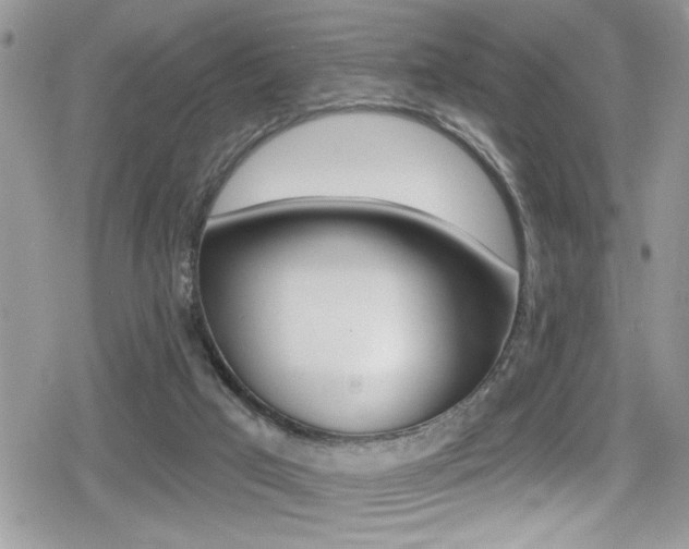 X0000080200017200612081145